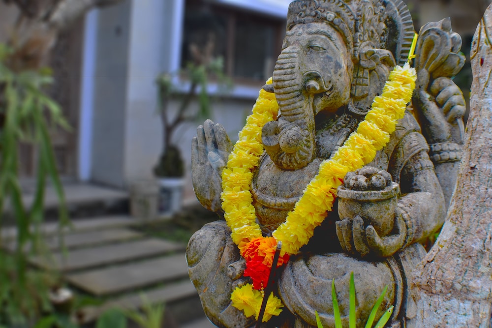 Binar House Ubud