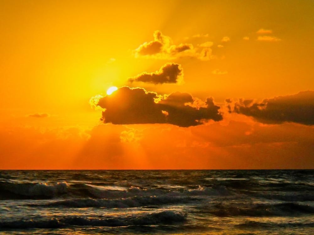 Ocean Walk 502