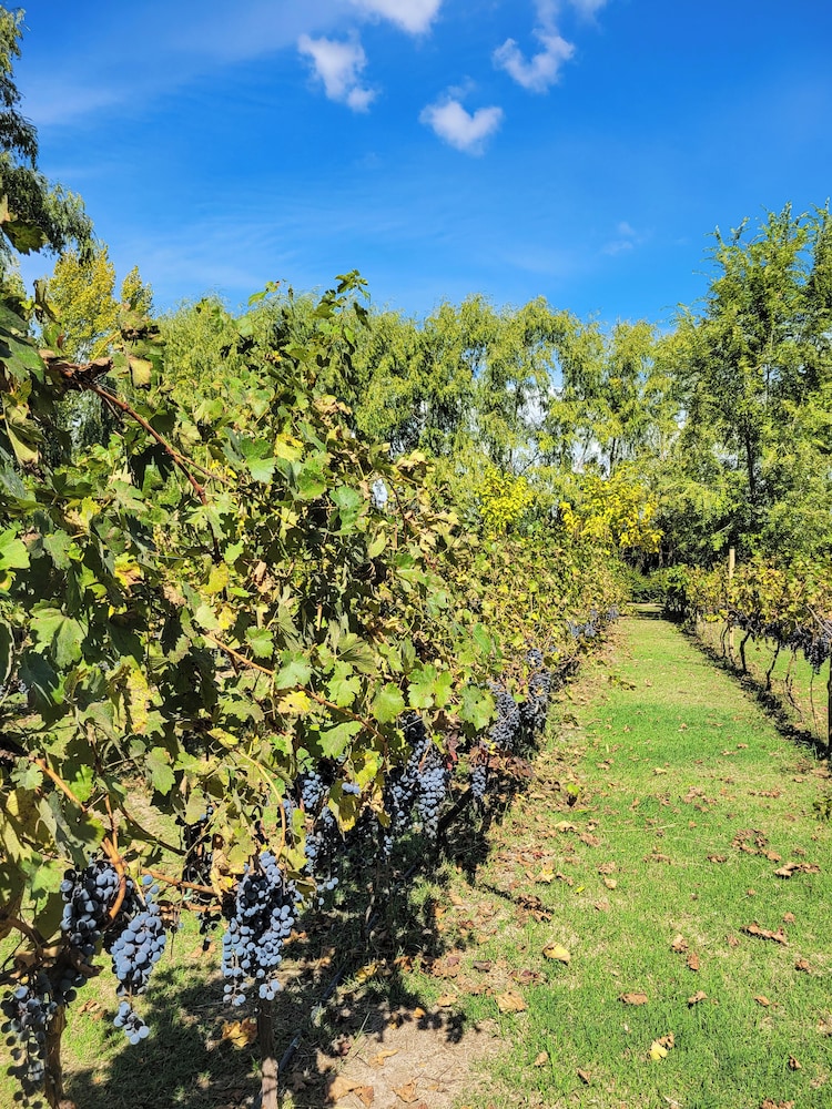 Finca La Saucina