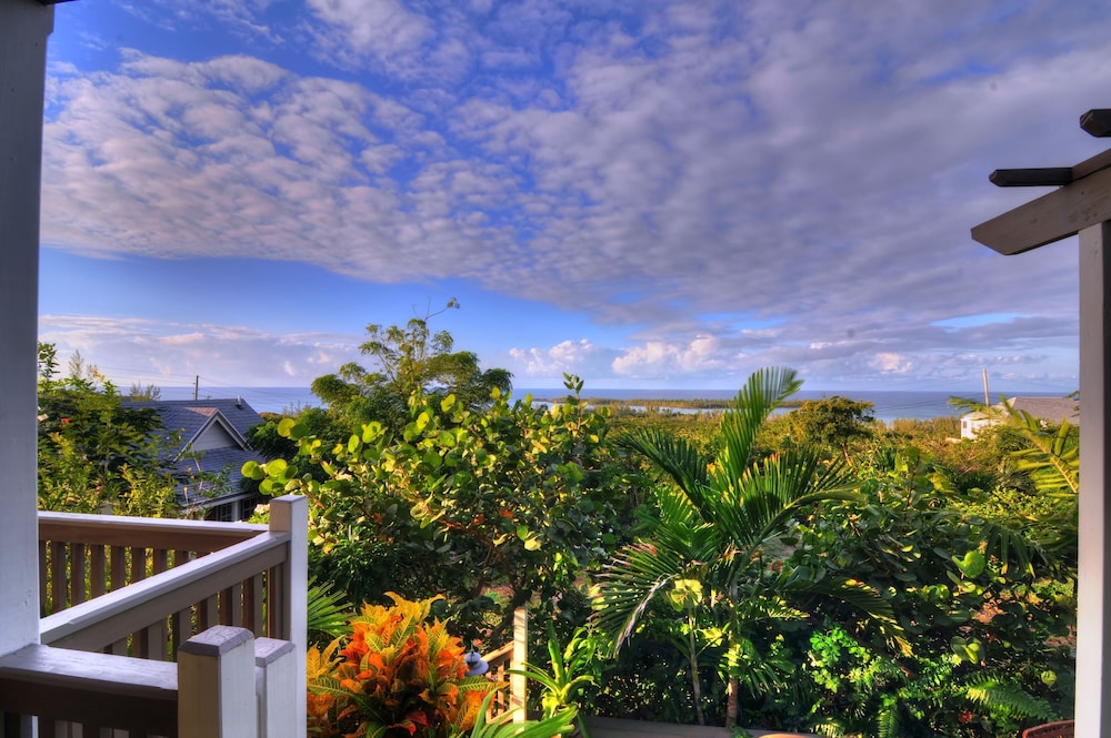 Villa Allamanda - Property Image 5