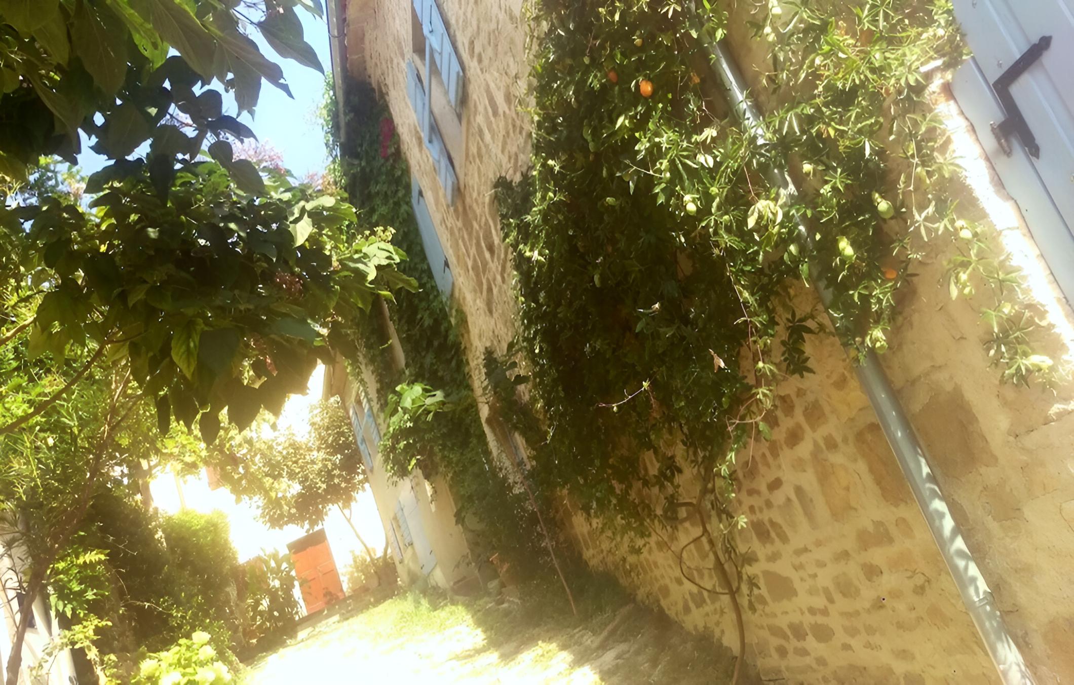 Photo 24