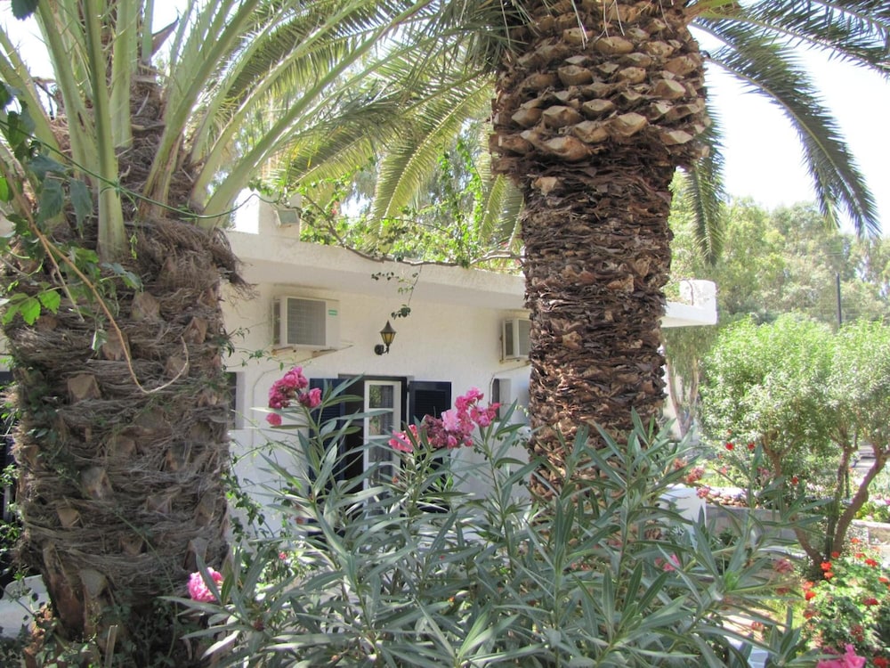 Eden Ios Rooms