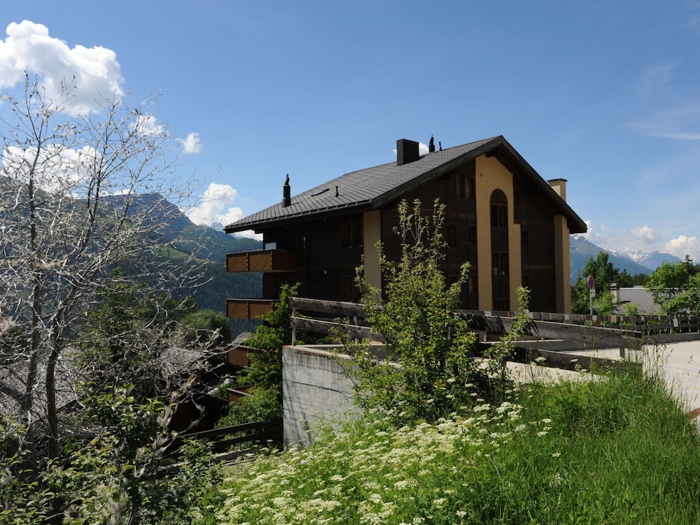 Photo 12