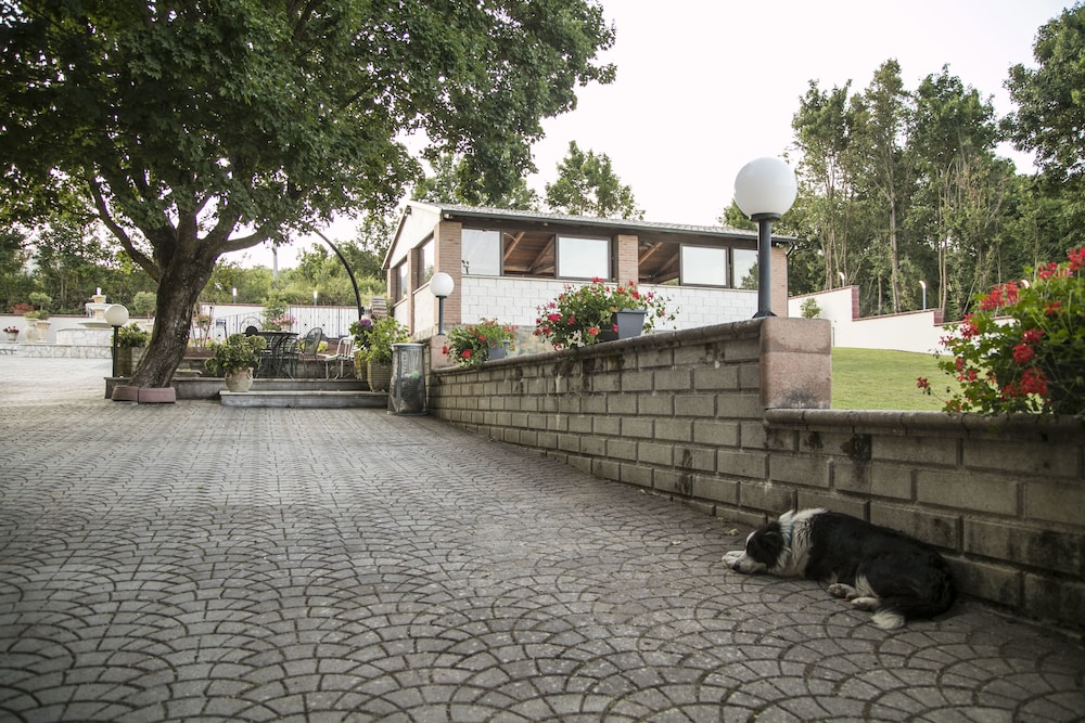 Photo 46