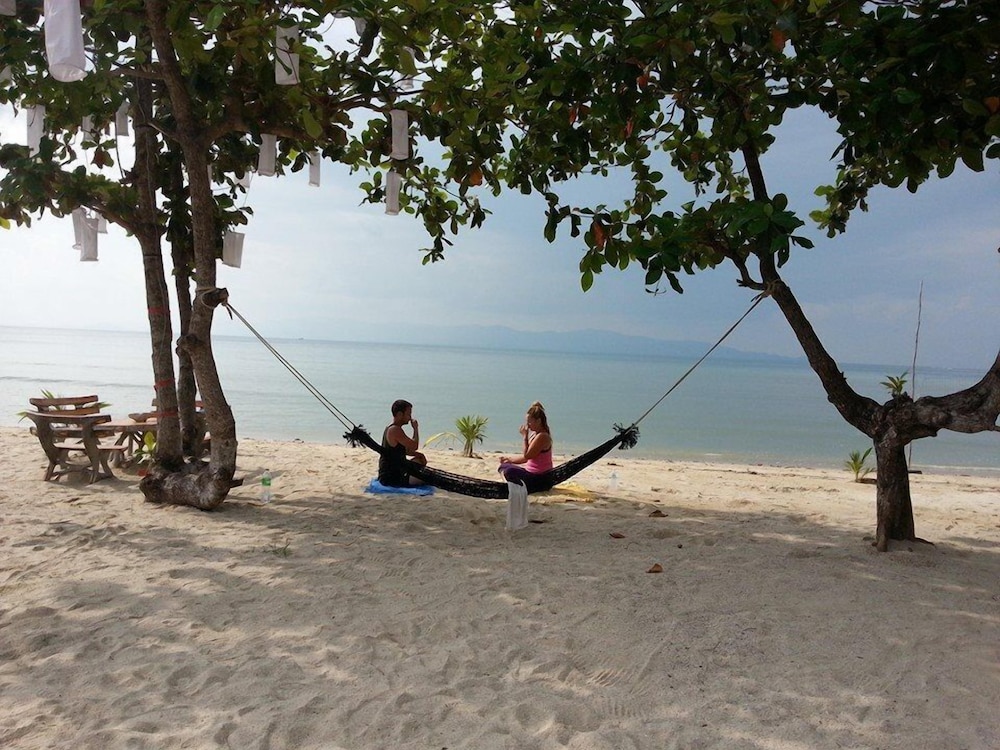 Dancing Elephant Beach Club - Hostel