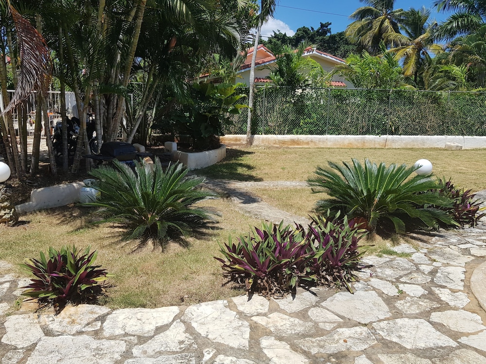 Photo 12