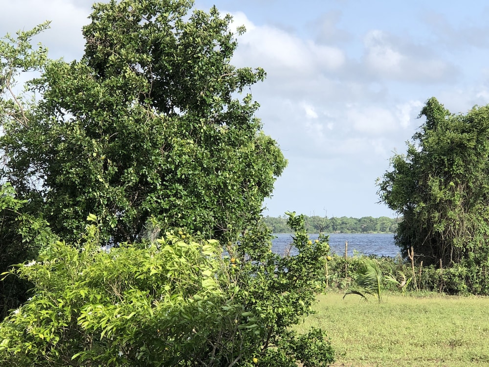 Captains Bird Safari Lodge