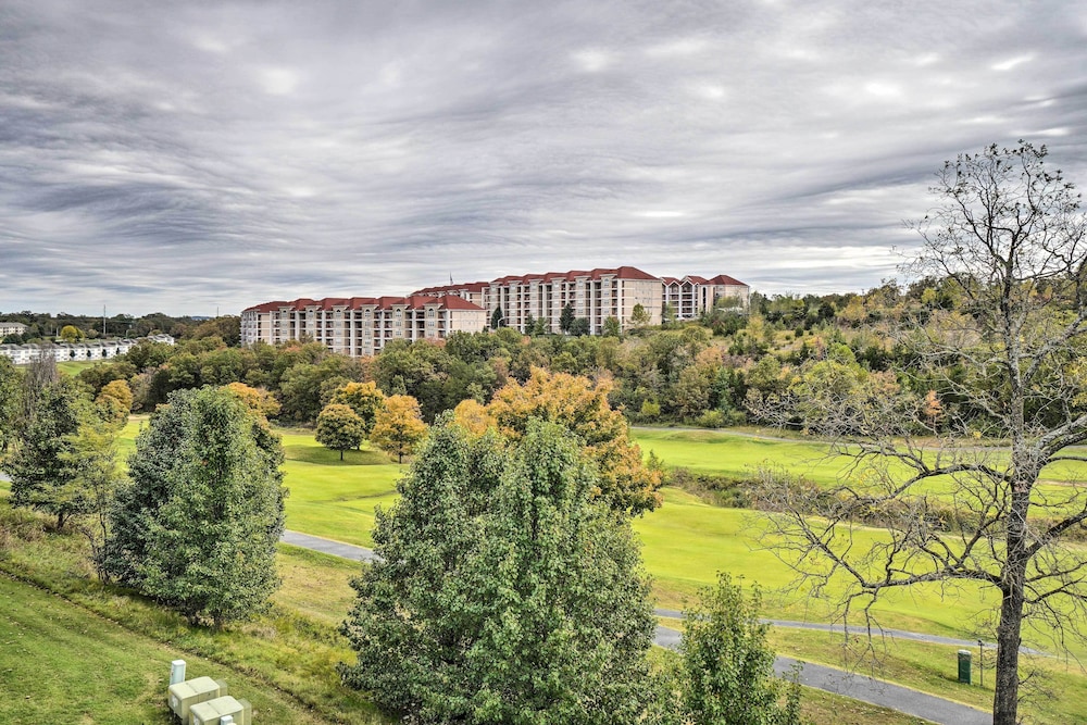 Pet-friendly Branson Condo: Walk to The Strip