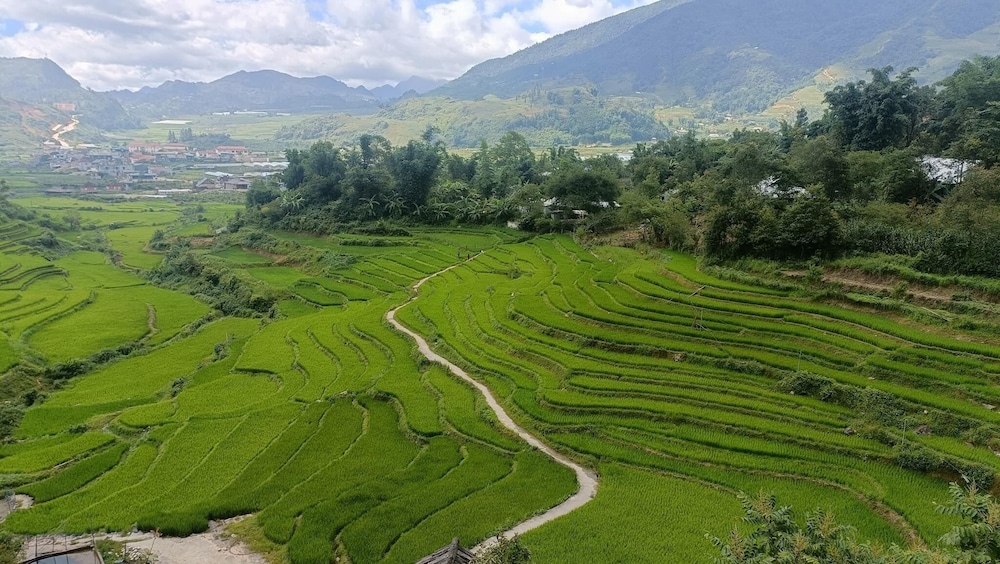 Homestay Nui Da Ta Phin
