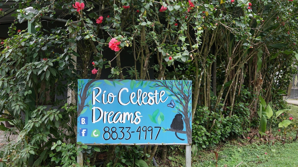 Hotel Apartamento Rio Celeste Dreams - Image 1