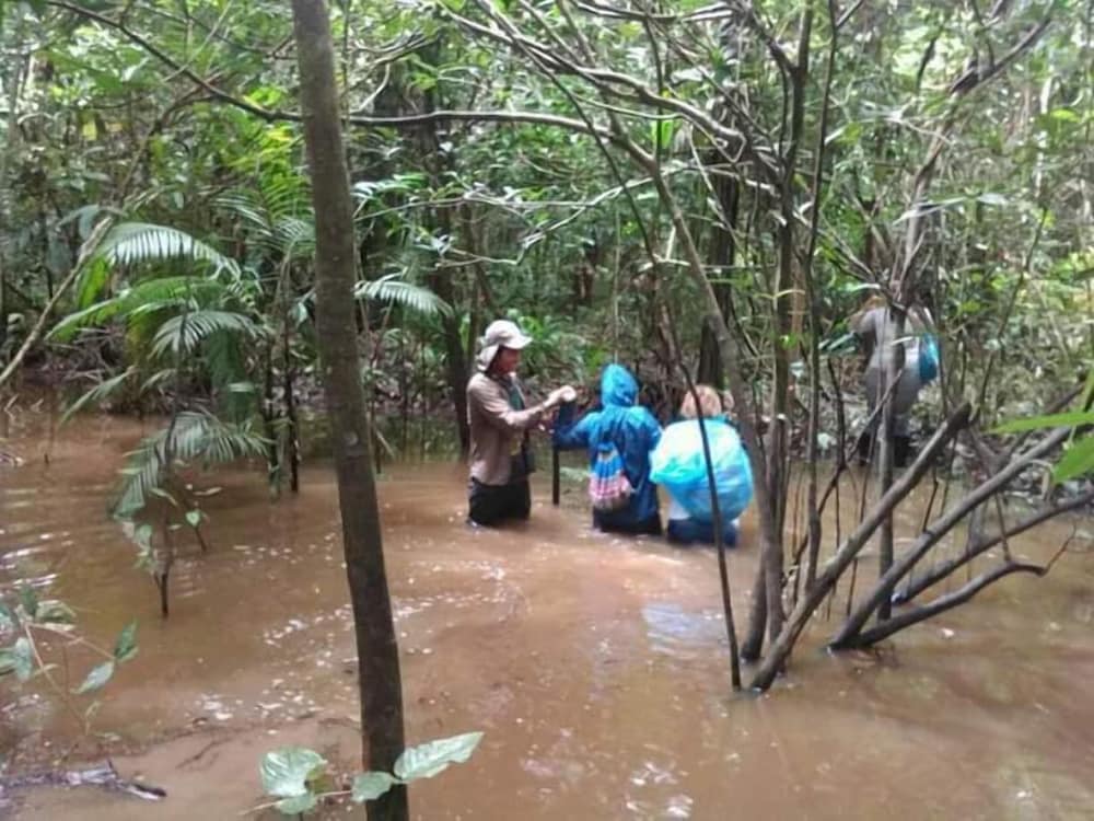 Wimba Jungle Lodge