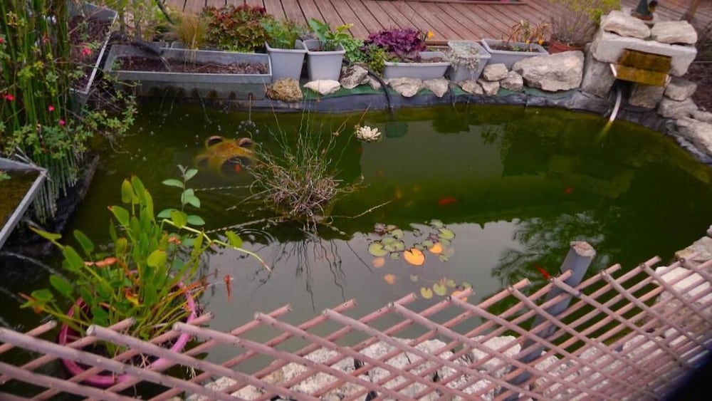 Le Clos des Passiflores