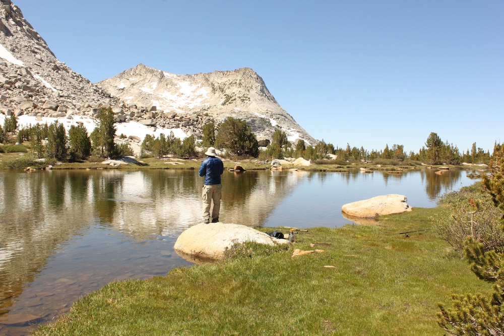 Inside Yosemite Upper Cascades