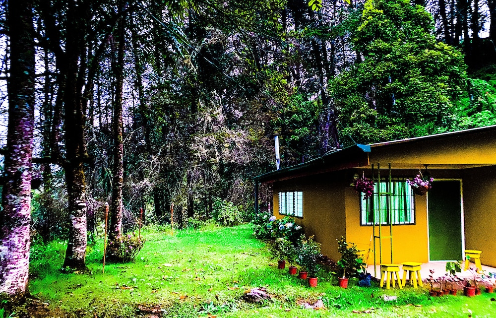 River Nest Lodge Costa Rica view 2