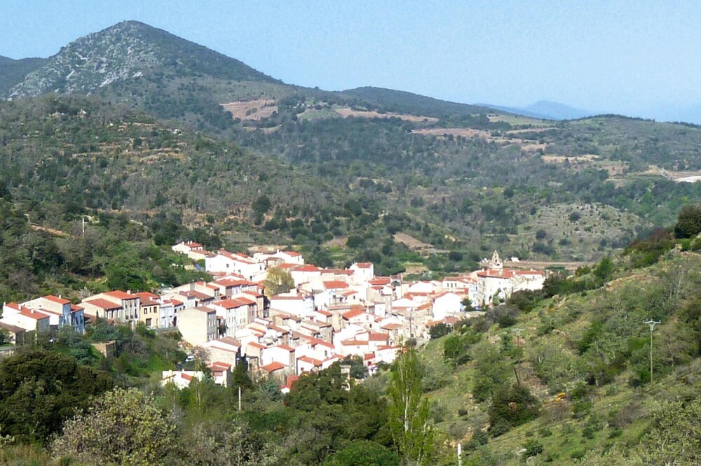 Photo 20