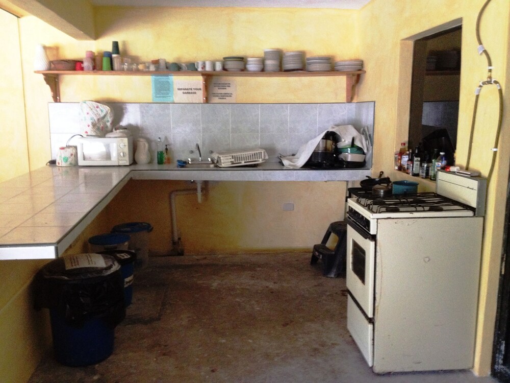Auberge de jeunesse Friends Hostel Cozumel — photo 5