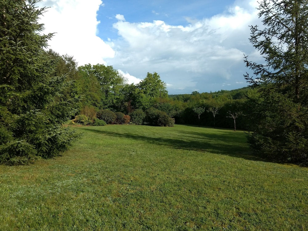 Photo 51