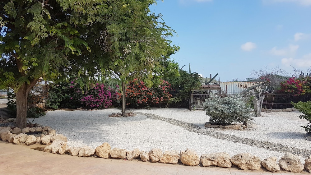 Arawa Kunuku Houses