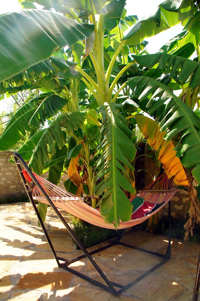 Jamboland-Diani