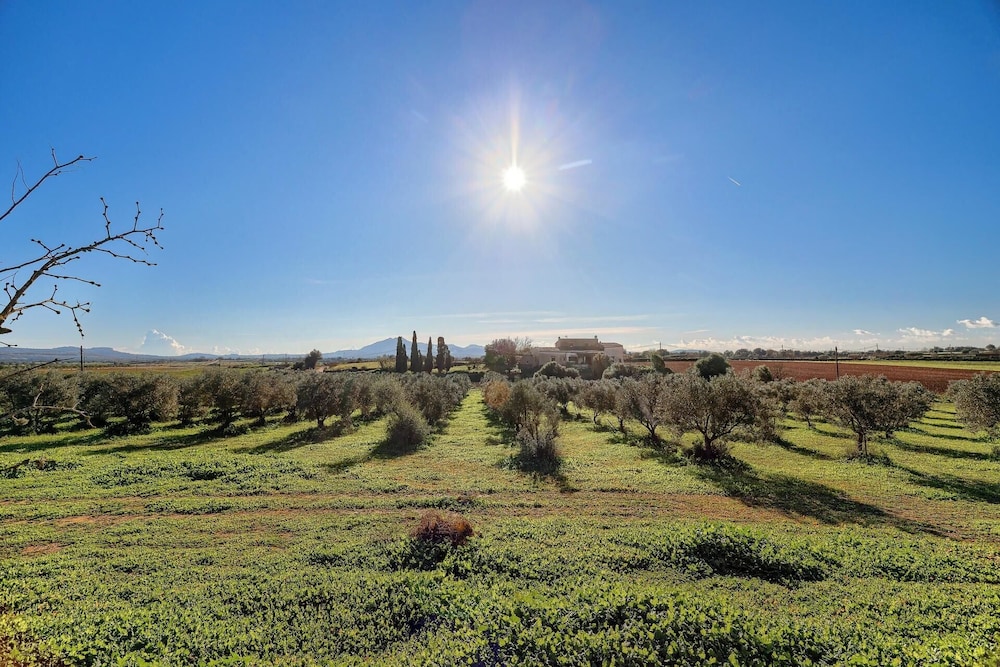 Finca Son Valls