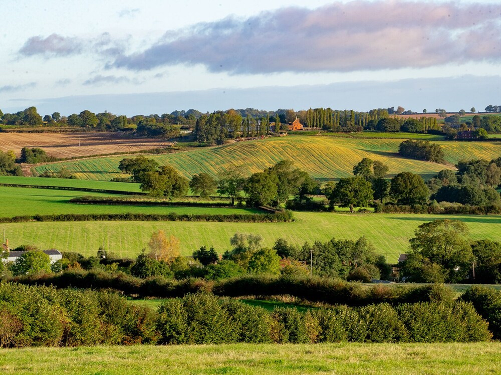Frith Green
