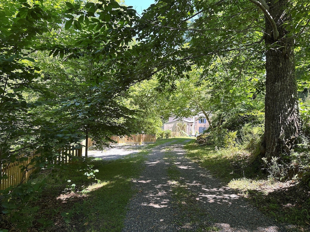 Holiday Home for 6 Guests in Cameliere
