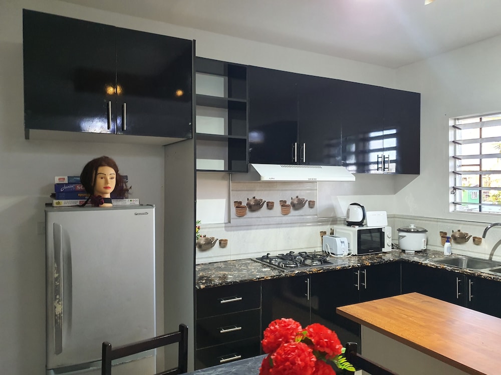 Master Bedroom with Shared Kitchen - view 20