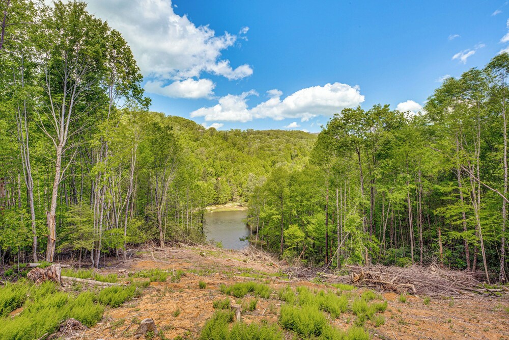 Lakefront Cabin in Elk Park w/ Hot Tub & Mtn Views