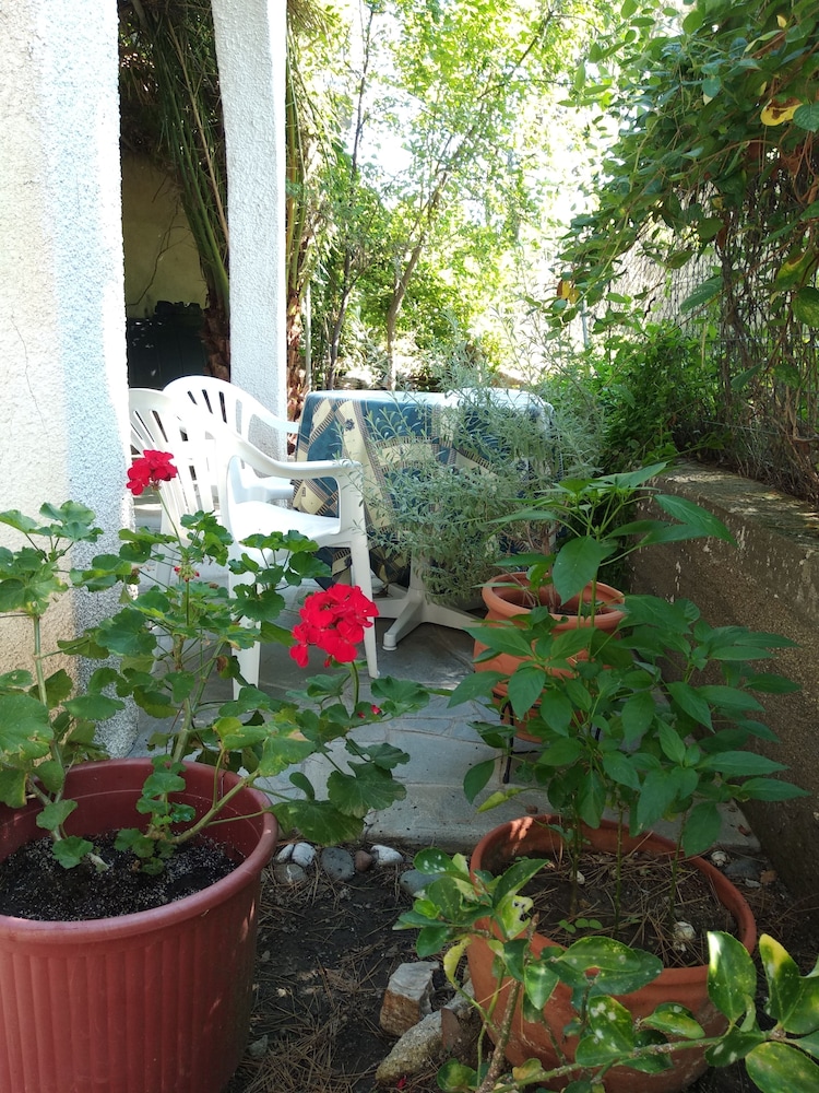 Photo 7
