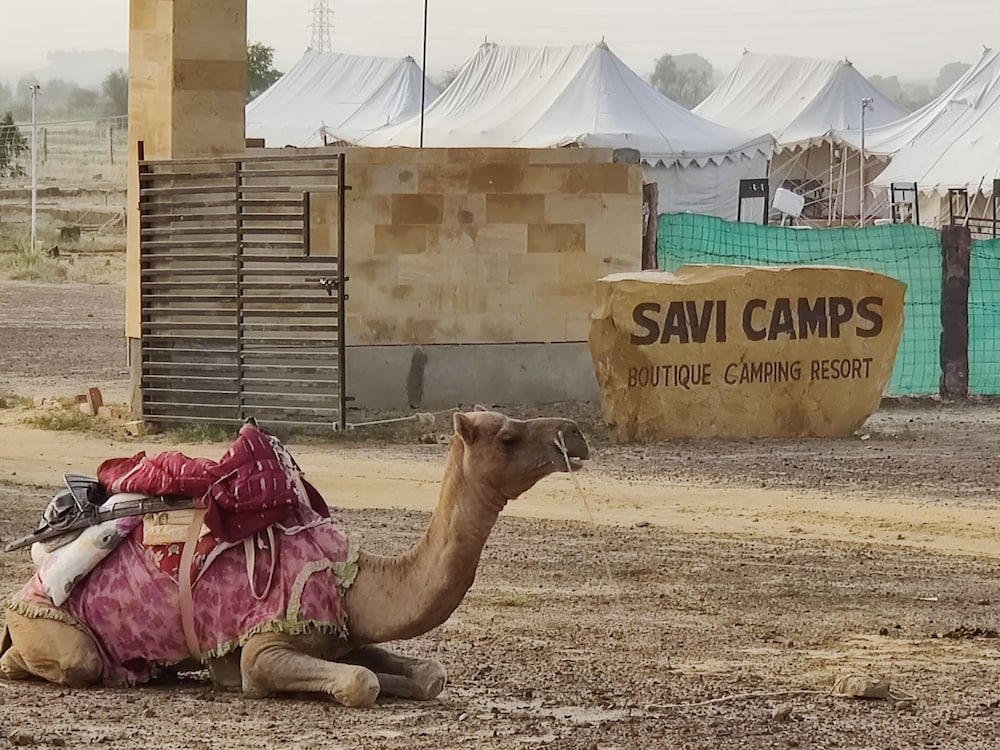 Savi Camps