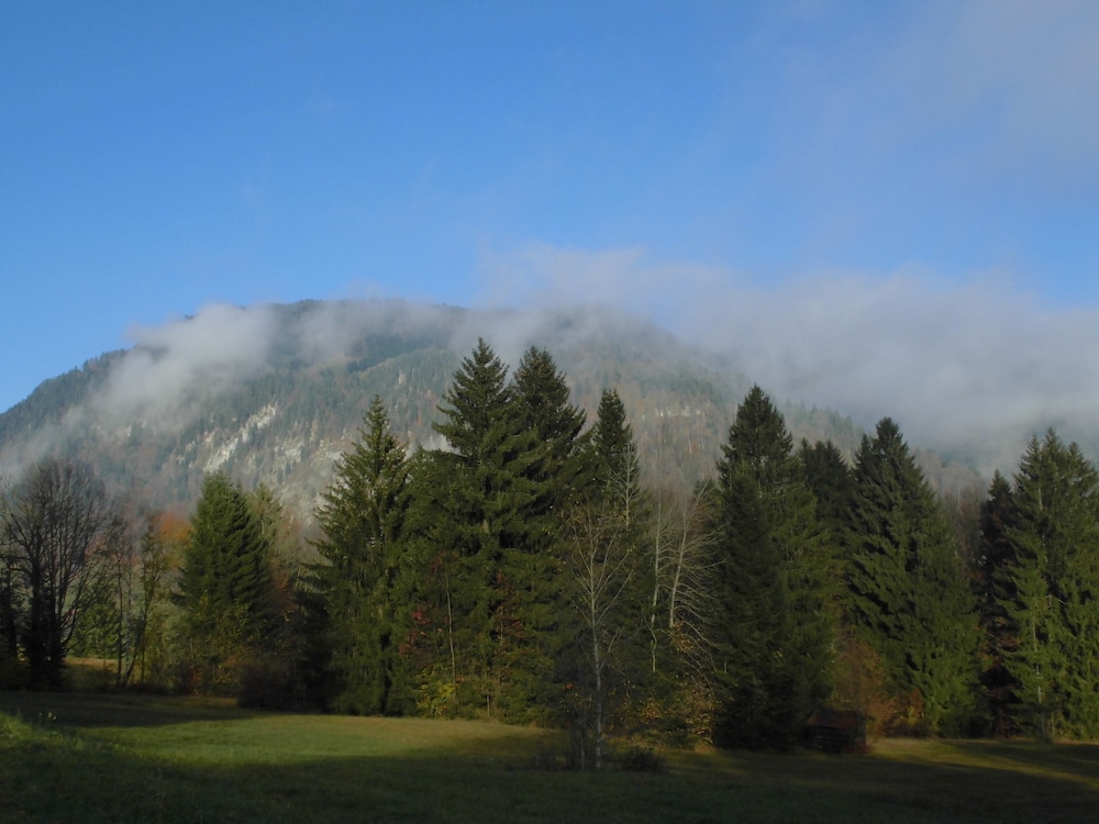 Photo 33