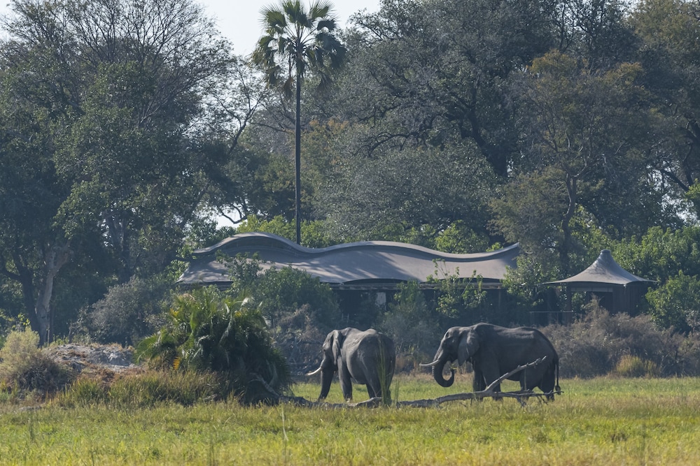 Xigera Safari Lodge view 3