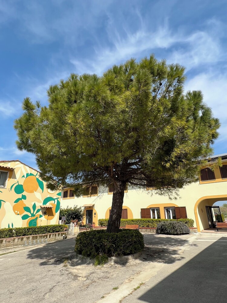 Tenuta Fasanarella