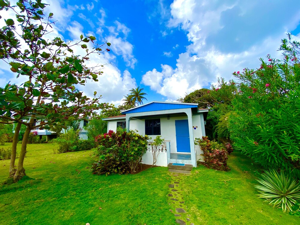 Sea Cliff Cottages
