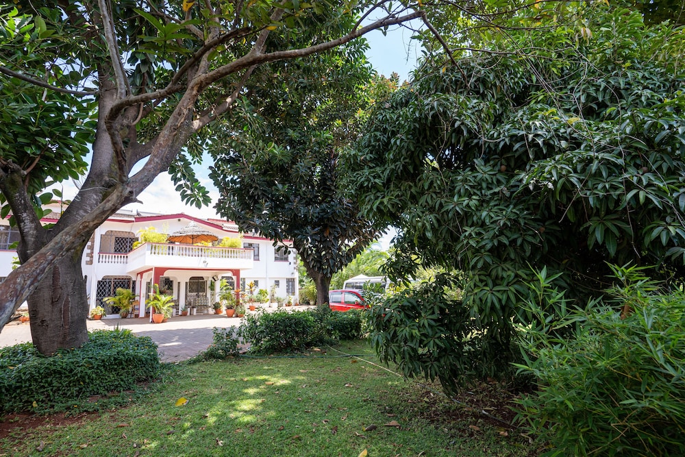 Bonsai Villa Homestay