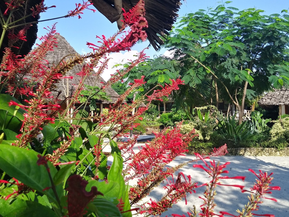 Kiwengwa Vacations - Marafiki Bungalows - Property Image 63