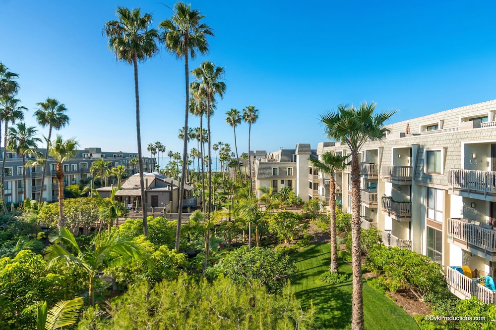 Pacific Palms view 5