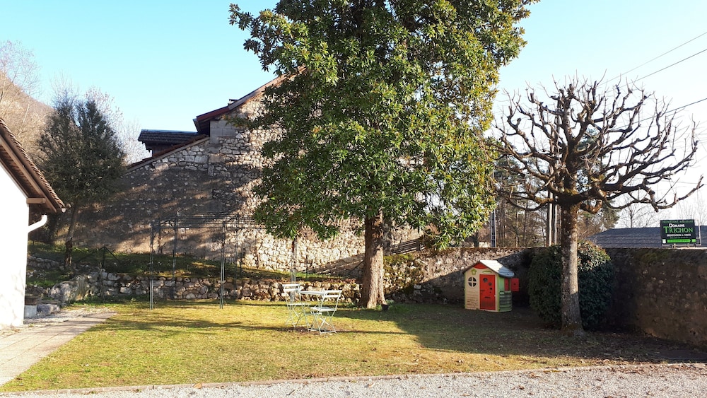 Photo 19
