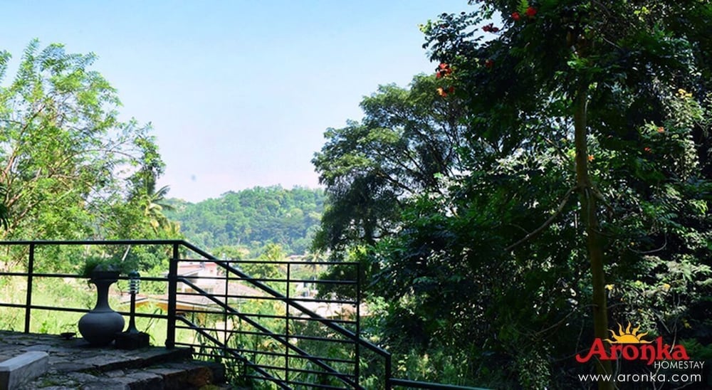 Aronka Homestay