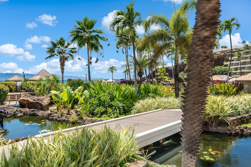 Kaanapali Shores 443