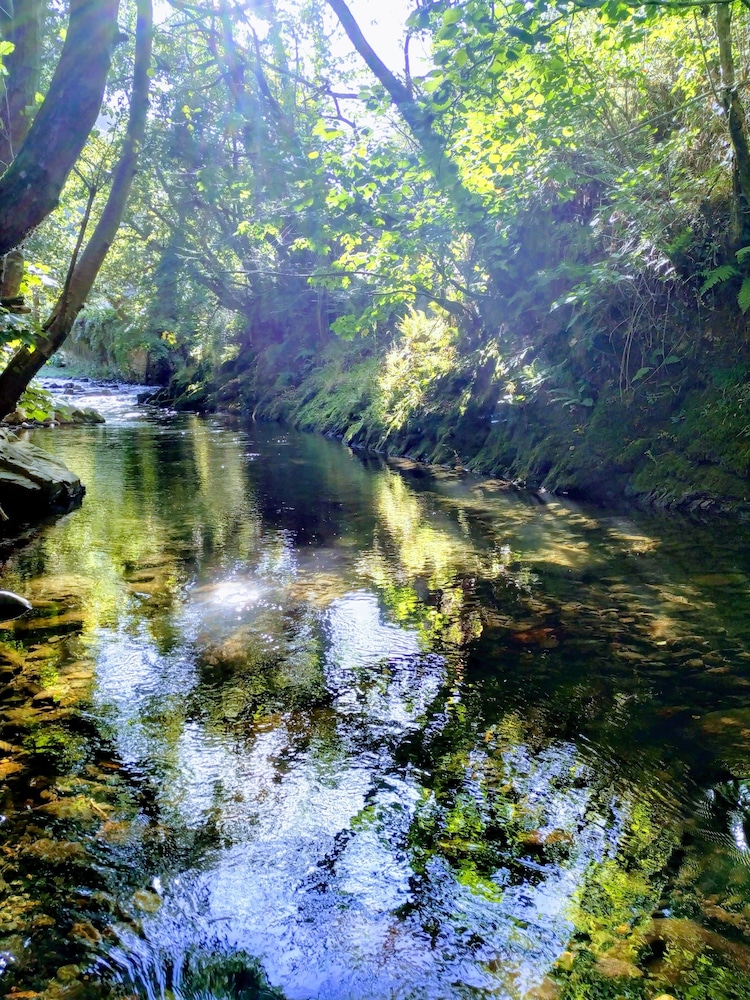 Corrada Torales