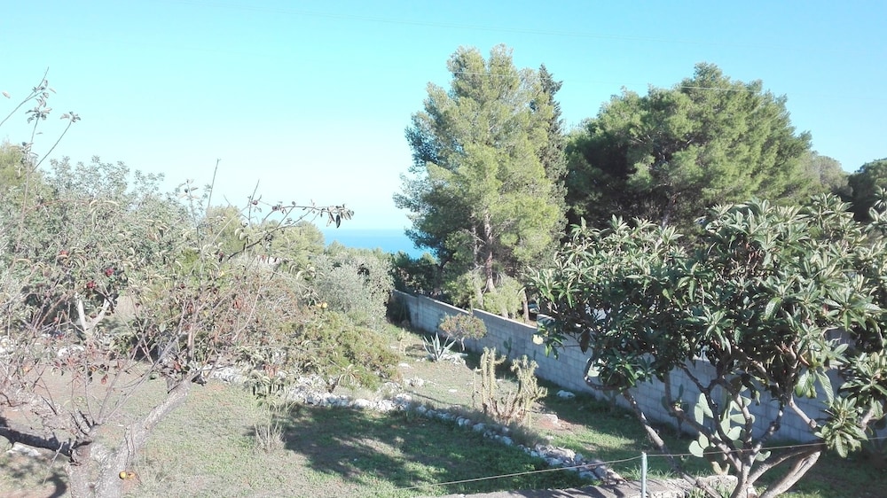 Villa Giulia