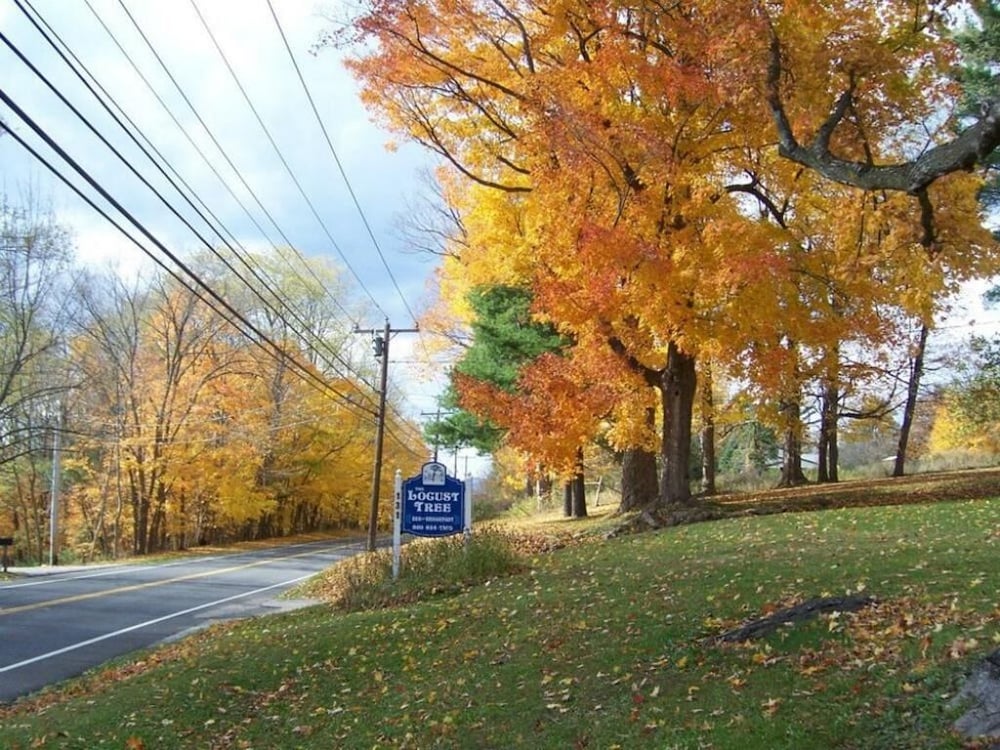 Locust Tree Bed and Breakfast LLC