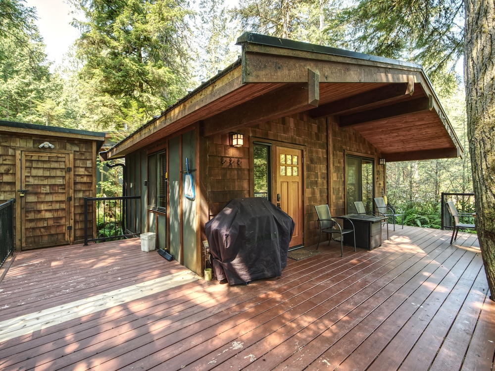 Handsome Dan's Port Renfrew