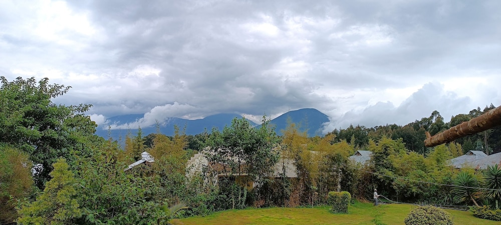 Da Vinci Gorilla Lodge