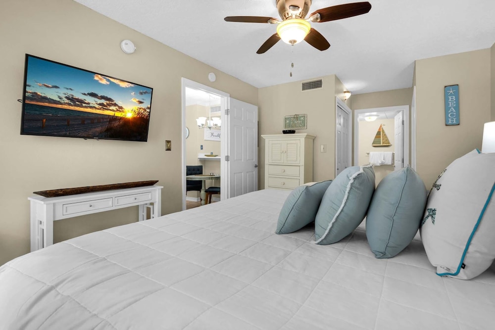 Sand Dollar W-101