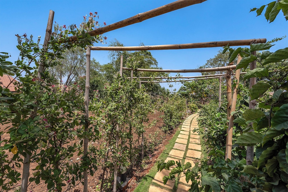 Cosmicstays Joshet Farmstay