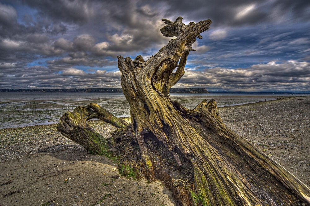 Cornet Bay Cottage in Oak Harbor