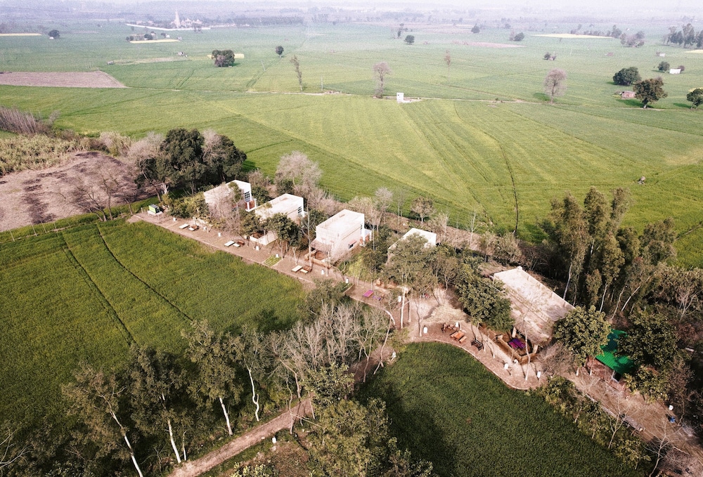 Punjab village farm near Amritsar