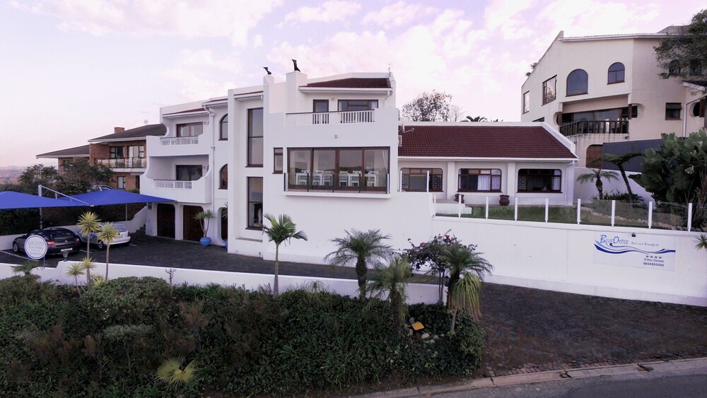 Blue Oyster view 2